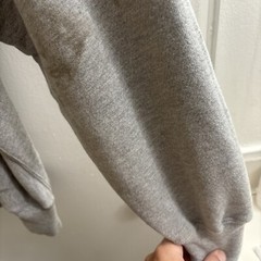 THE FRIENDS SCHOOL WILMINGTON CHAMPION REVRESE WEAVE HOODIE GRAY XL