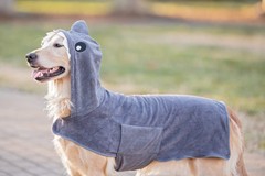 BoxDog Wearable Microfiber Dog Towel Hoodie Medium Grey Shark
