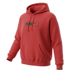 Puma Men’s Essentials Logo Lab Fleece Hoodie Mens Large