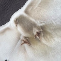 Yeezy Gap Balenciaga Shrunken Dove Hoodie Dark Grey XX-Large (Check Description)
