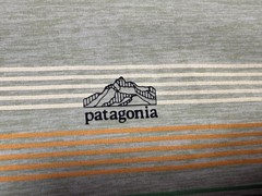 Patagonia Capilene Cool Daily Hoodie Mens XS Green Striped Lightweight Jersey