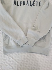 Alphalete Bubble letter Hoodie Gray Men’s Size Medium