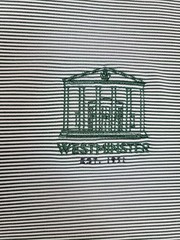 Peter Millar Men’s M GREEN White Pinstripe 1/4 Zip L/S NEW 3RD PTY WESTMINSTER