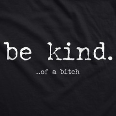 Be Kind Of A Bitch Unisex Hoodie Funny Advice Offensive Novelty Graphic Hooded