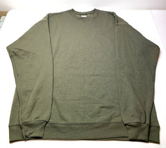 Hanes Men’s L Sweatshirt Pullover Long Sleeve EcoSmart Crewneck Green Blank P160