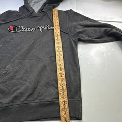 Champion Authentic Athleticwear Mens Hoodie Pullover Logo Grey Sz- S #2130