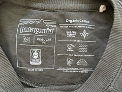 Patagonia Midweight Sweatshirt Medium CrewNeck Pullover Logo Spring 2021 Green