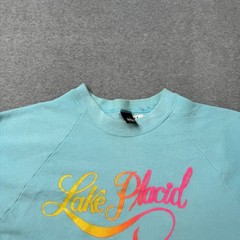 Vintage Screen Stars Best Sweatshirt Mens Large Large Blue Fleece Lake Placid