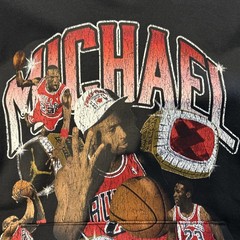 MICHAEL JORDAN 6 RINGS Nike Jordan Brand Hooded Sweatshirt XL Hoodie #23 BULLS!!