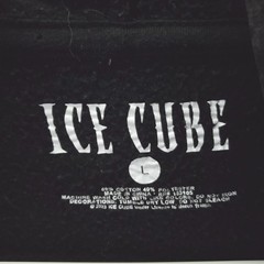 Ice Cube Hoodie Men Large Black Graphic Cotton Pocket Drawstring Hip Hop Rap 90s