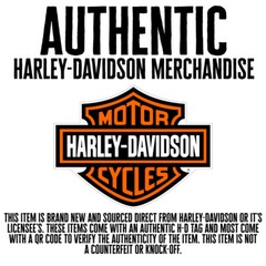 Harley-Davidson® Men’s Retro Outline Hoodie – Slim Fit, 99097-20VH