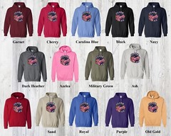 Clark 22 – Indiana Fever – Caitlin Clark – 22 – WNBA – Hoodie – Fast Shipping