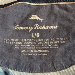 Tommy Bahama Mens Blue Palm Tree Print Lightweight Hoodie L Sustainable Viscose
